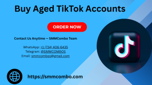 Buy Aged TikTok Accounts